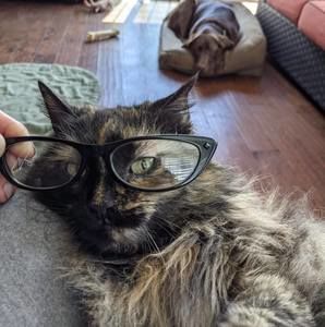 Meet your Posher, Annette